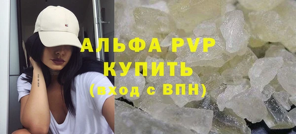 соль ск Каменка