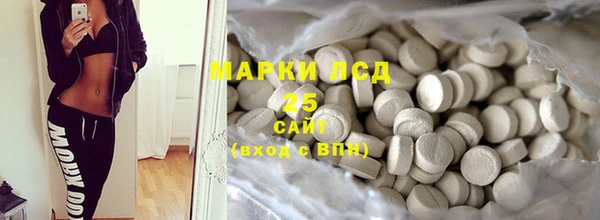 соль ск Каменка