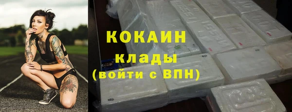 соль ск Каменка