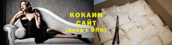 соль ск Каменка