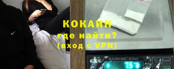 соль ск Каменка