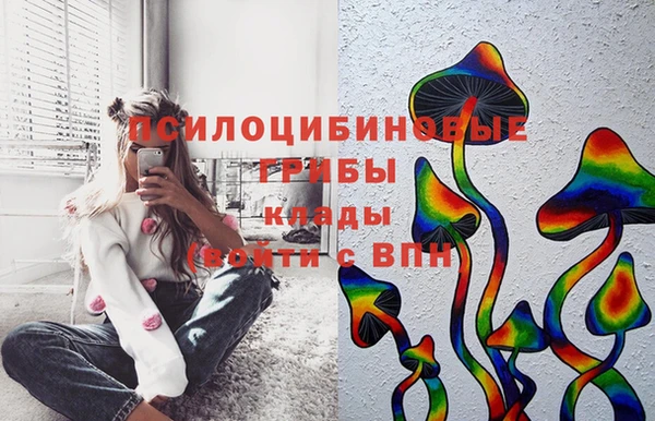 кокаин перу Каменногорск